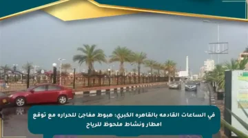 في الساعات القادمة بالقاهرة الكبرى: هبوط مفاجئ للحرارة مع توقع أمطار ونشاط ملحوظ للرياح